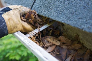 gutter cleaning services